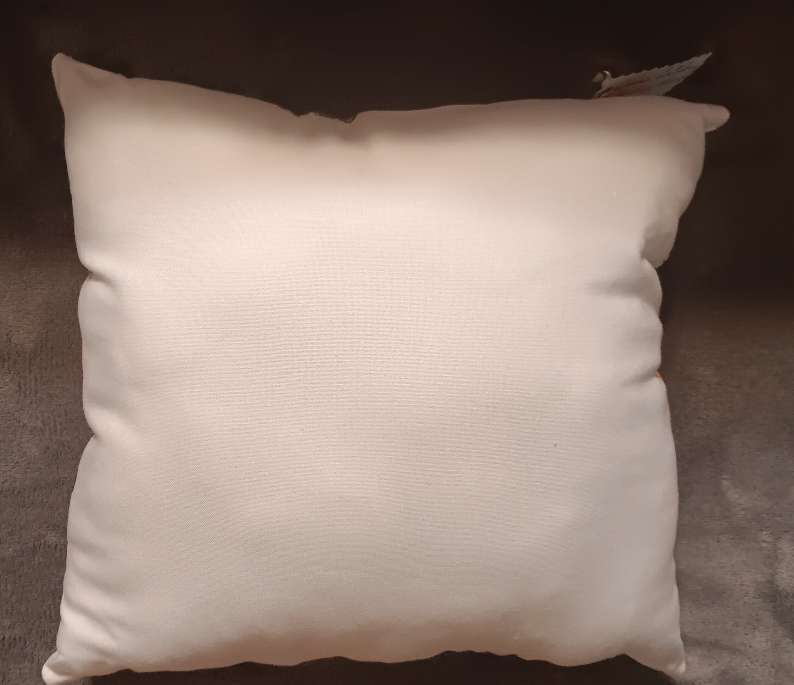 Tooth Fairy Pillow