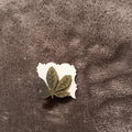 Buckeye Leaf Pin