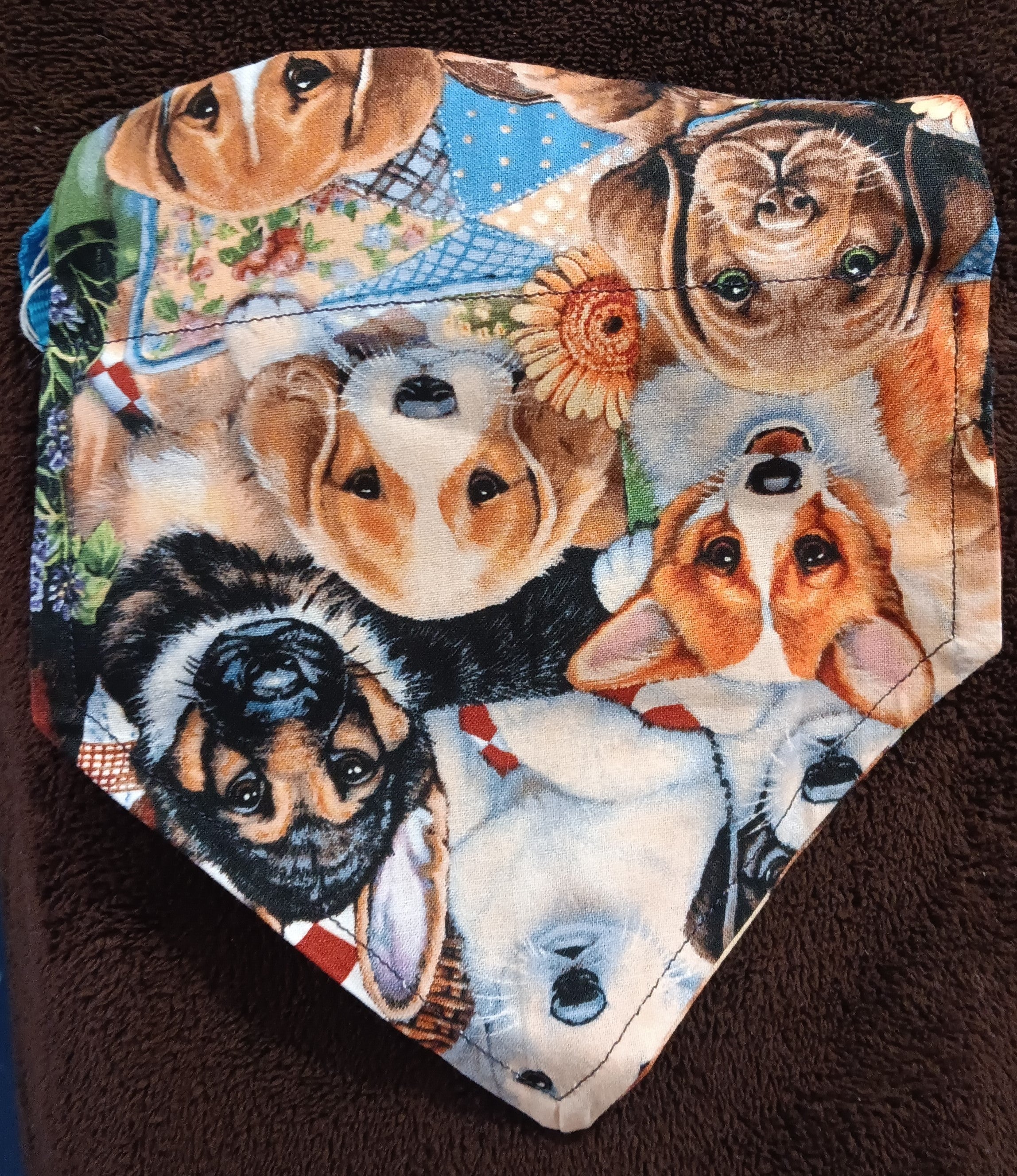 Medium Dog Collar-Dog Breeds Print