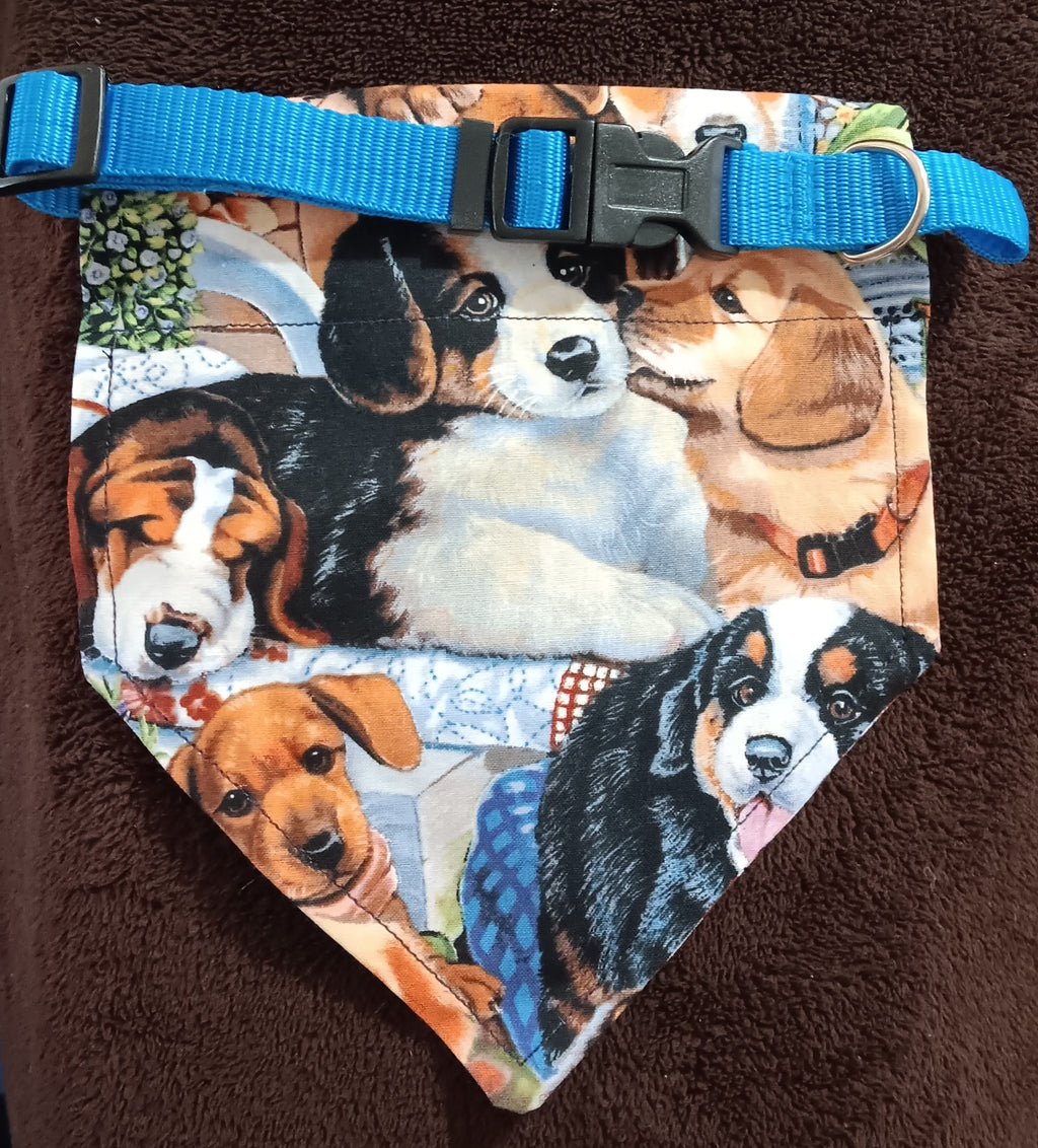 Small dog collar-Dog Breeds Print
